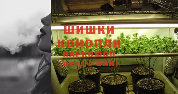 apvp Верея