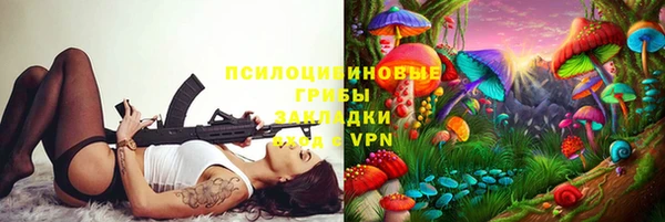 apvp Верея
